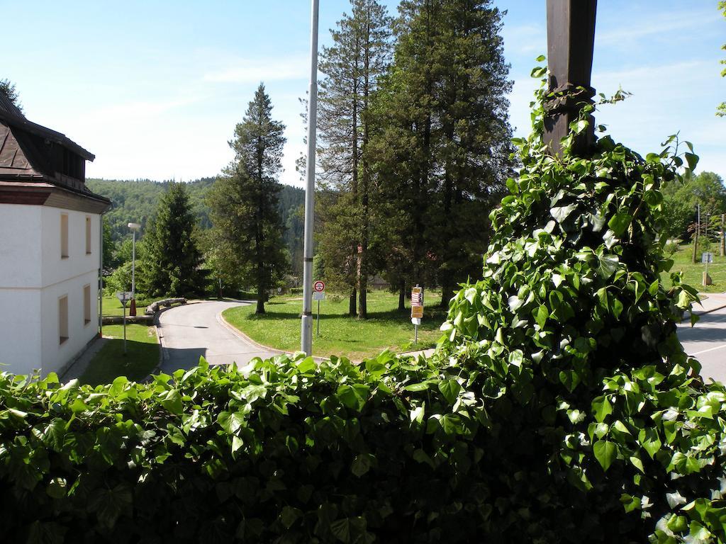 Hotel Lesni Dum Janske Lazne Room photo